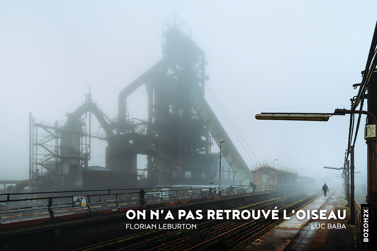 On n'a pas retrouvé l'oiseau