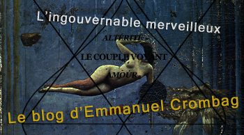 Le blog d'Emmanuel Crombag